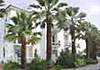 Apartamentos Oceano Beach Club