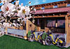 Bungalows Spa Nature Resort