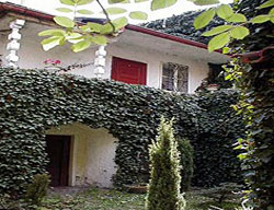 Hostal The Golden Tree