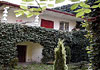 Hostal The Golden Tree