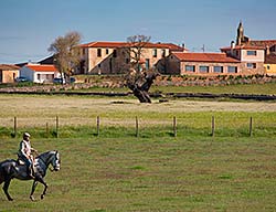 Hostal Verimar