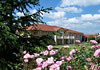 Hotel Bw Golf D