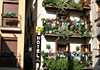 Hotel Can Mestre