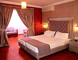 Hotel Delphi Art