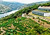 Hotel Douro Palace Resort & Spa