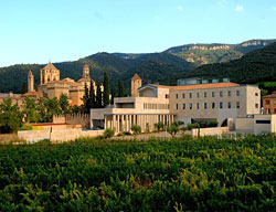Hotel Dunas Paradise