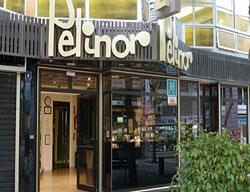 Hotel Pelinor