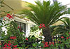 Hotel Regina Cristina