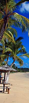 hotels in Brazil
