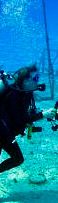 hotels in Cayman Islands hotels in Cayman Islands